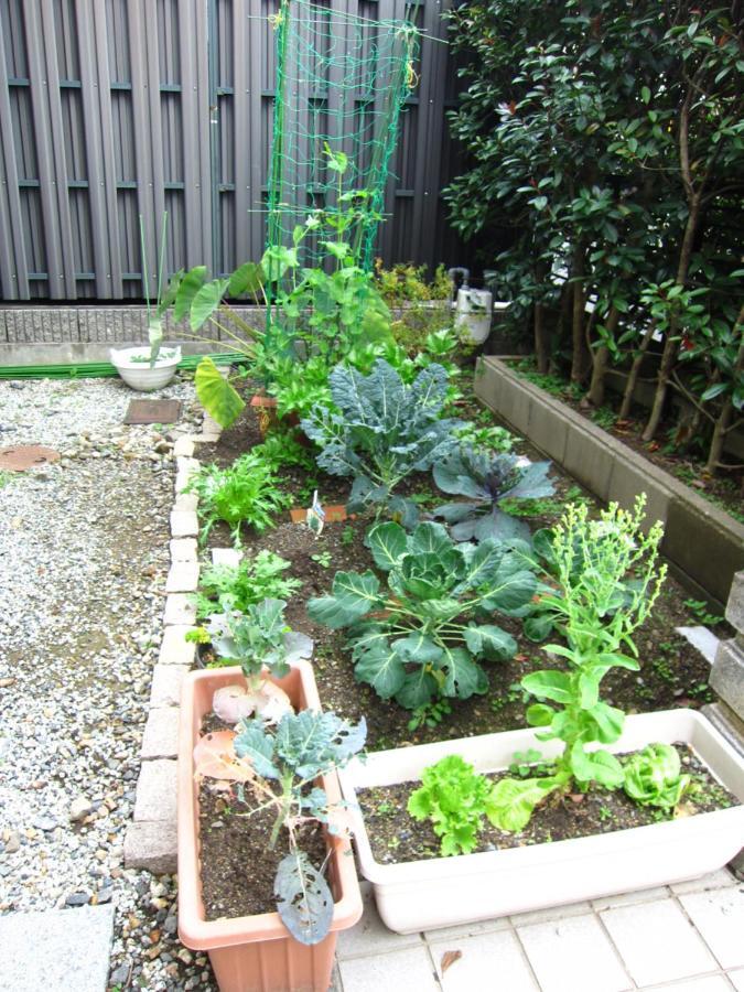 Apartamento Kyo-No-Sato 京の里 Kioto Exterior foto